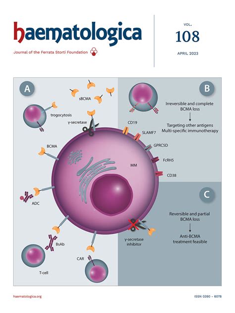 haematologica.org